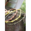 Pulseras ANÍS