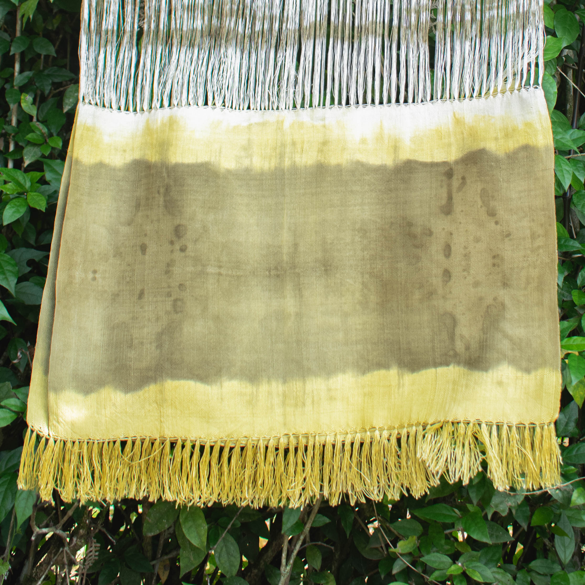 MEMORIAS TRANSFORMADAS EN COLOR