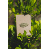 Broche Hoja de Coca
